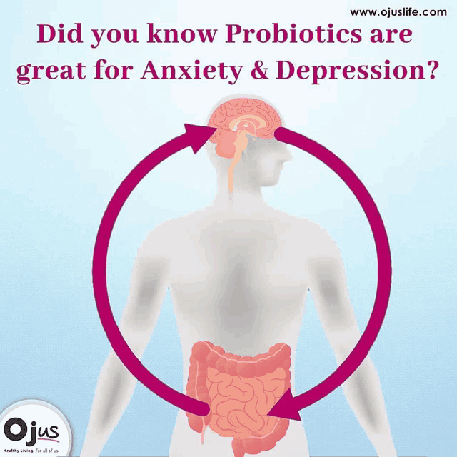 an illustration of a person with the words did you know probiotics are great for anxiety and depression