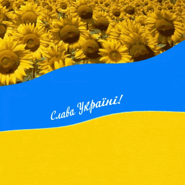 a field of sunflowers with a blue and yellow background that says " слава украïни "