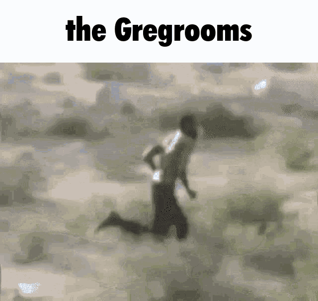 Teamgreg Thegregrooms GIF - Teamgreg Thegregrooms GIFs