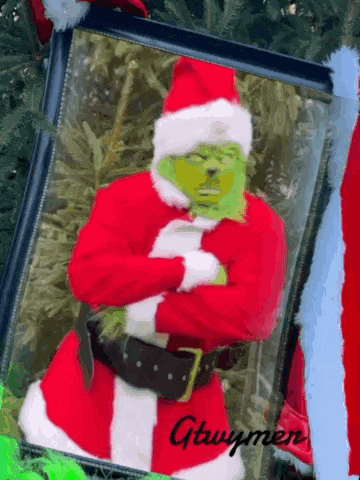 a picture of a man dressed as the grinch in a santa suit .