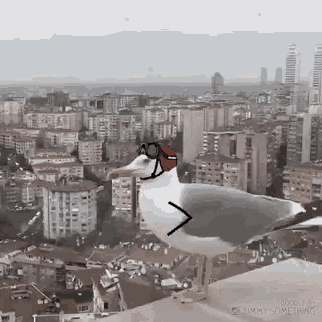 Wind Check Flying GIF - Wind Check Flying Funny Seagull GIFs