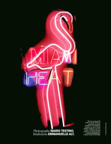 Miami Heat GIF - Miami Heat GIFs