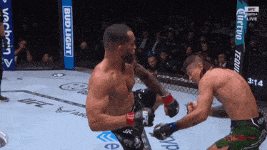 two men are fighting in a boxing ring with a bud light sign in the background