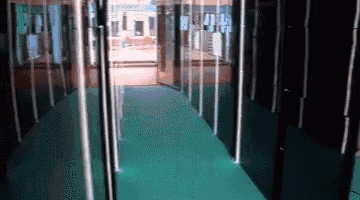 a hallway with a green carpet and a row of white poles
