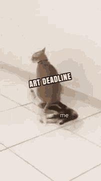 a cat standing on a tiled floor with the words art deadline me written below it