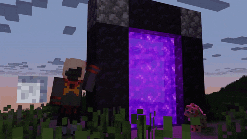 a purple portal in a minecraft game