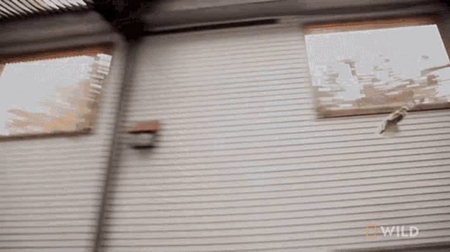 a blurred image of a house with wild written on the bottom right