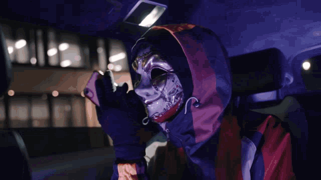 a person wearing a mask and a hooded sweatshirt