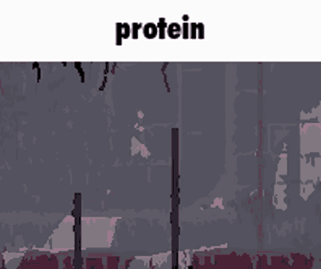 a pixel art image with the word protein in the upper left corner