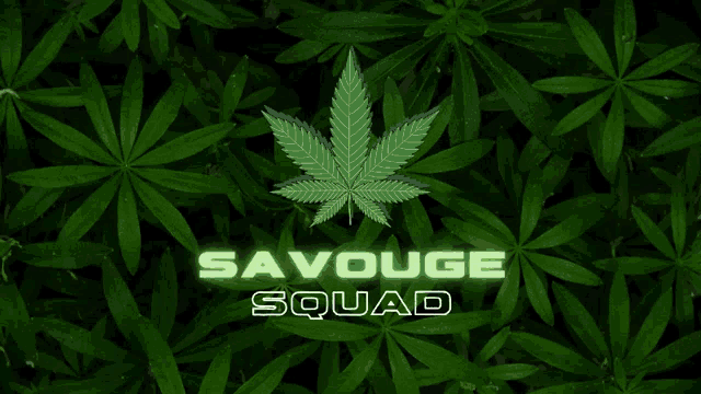 a picture of a marijuana leaf with the words savouge squad on it