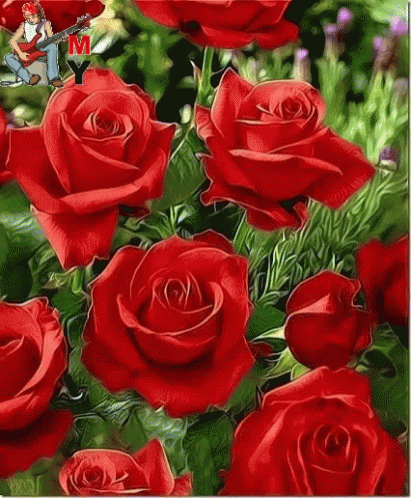 Uma Boa Tarde Para Todos Meus Amigos Roses GIF - Uma Boa Tarde Para Todos Meus Amigos Roses Flowers GIFs