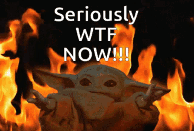 a baby yoda says seriously wtf now in front of a fire background