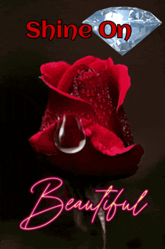 a picture of a red rose with the words " shine on beautiful "