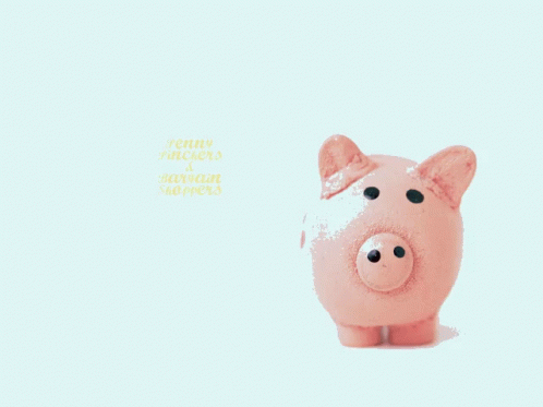 Pig Money GIF - Pig Money Take All My Money GIFs