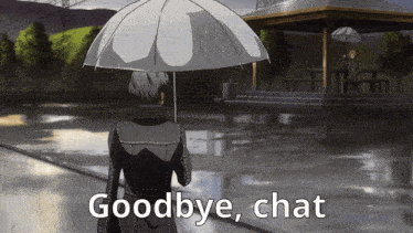a person holding an umbrella with the words goodbye chat below them