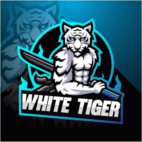 White Tiger GIF - White Tiger GIFs