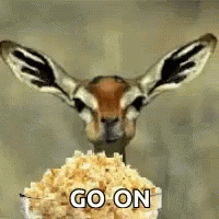 Go On Popcorn GIF - Go On Popcorn Gazelle GIFs