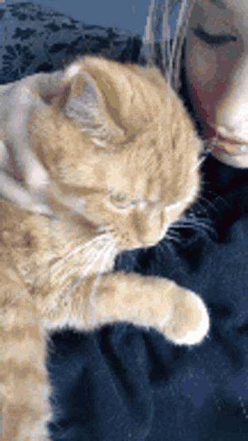 a woman is holding a cat in her arms .