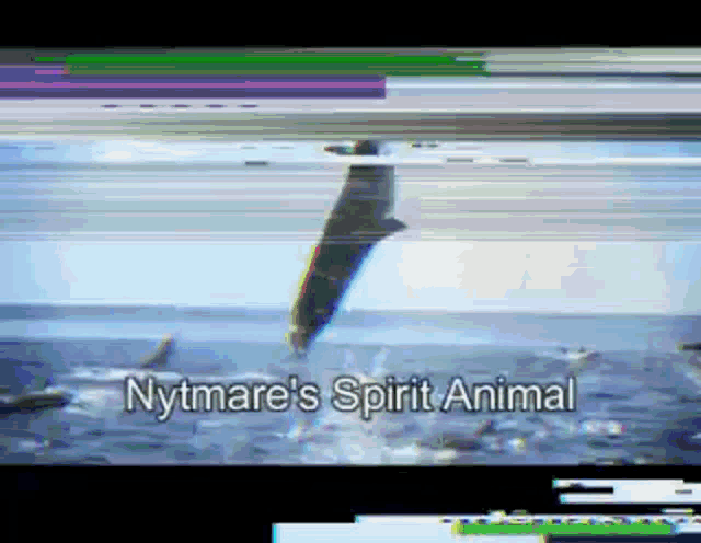 nytmare 's spirit animal is shown on a screen