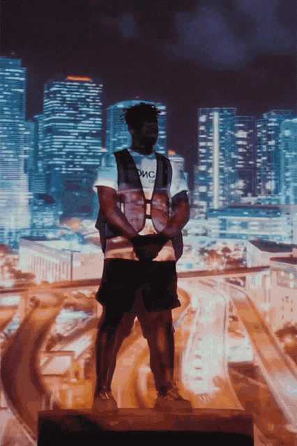 a man wearing a vest that says dmc is standing in front of a city skyline