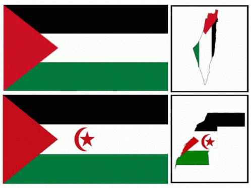 Palastine Sahara Occidental GIF - Palastine Sahara Occidental Rasd GIFs