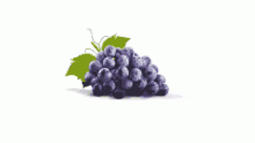 Grapes Fruit GIF - Grapes Fruit GIFs