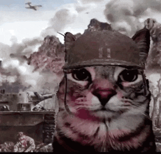 a cat wearing a military helmet is looking at the camera in front of a battle scene .