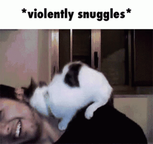 Cuddles Snuggles GIF - Cuddles Snuggles Violently Snuggles GIFs
