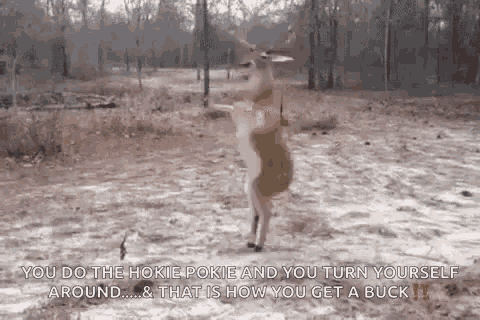 Dancing Deer Cool GIF - Dancing Deer Cool Lit GIFs