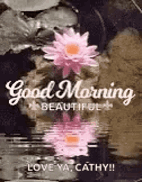 a good morning beautiful greeting card with pink flowers in the water .