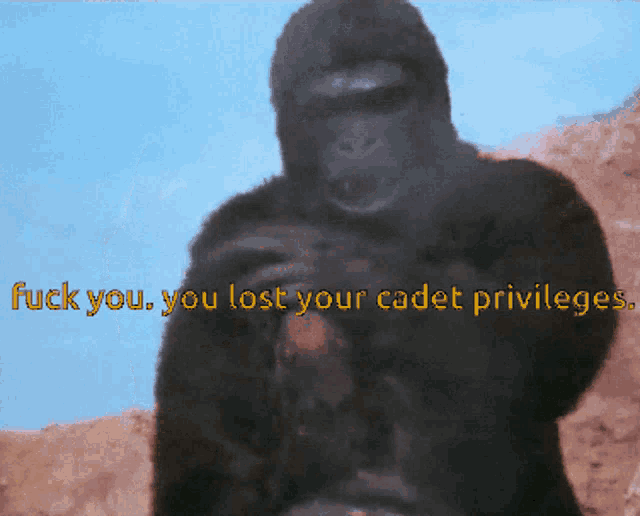a painting of a gorilla with the words " fuck you you lost your cadet privileges "