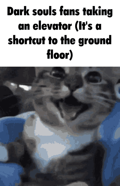 Dark Souls Memes GIF - Dark Souls Memes Elevator GIFs
