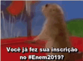 a close up of a ground squirrel with the words você ja fez sua inscrição no # enem2019