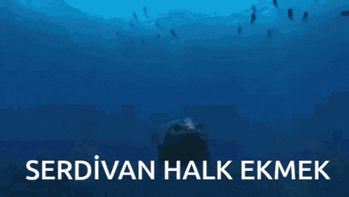 a picture of a whale in the ocean with the words " serdivan halk ekmek " above it