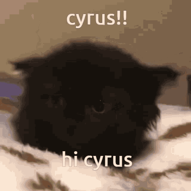 Hi Cyrus Cyrus GIF - Hi Cyrus Cyrus GIFs