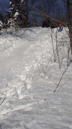 Sledding Snow GIF - Sledding Snow Crash GIFs