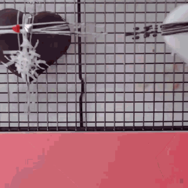 a close up of a bird in a cage with a red ball in it .
