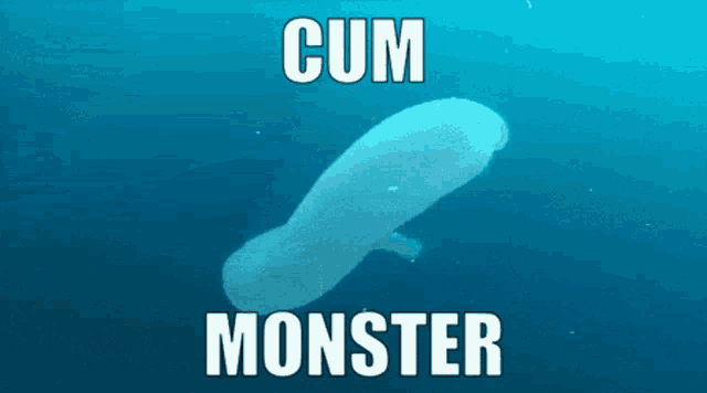 a picture of a manatee in the ocean with the words cum monster above it