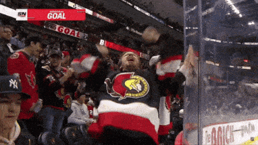 a hockey game is being played in a stadium with a banner that says goal on it