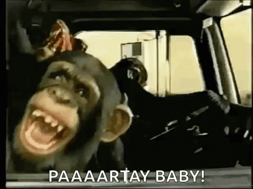Monkey Driving GIF - Monkey Driving Laughing GIFs