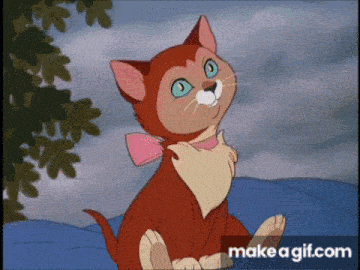 Dilah Alice In Wonderland GIF - Dilah Alice In Wonderland Cat GIFs