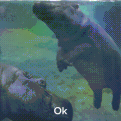 a hippopotamus is standing on a rock in the water with the words ok below it