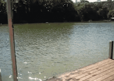 a wooden dock overlooking a body of water with trees in the background