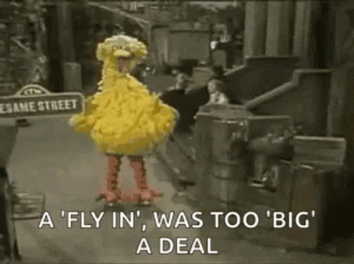 Big Bird Sesame Street GIF - Big Bird Sesame Street GIFs