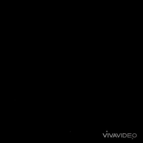 a colorful painting with the words vivavideo on the bottom right