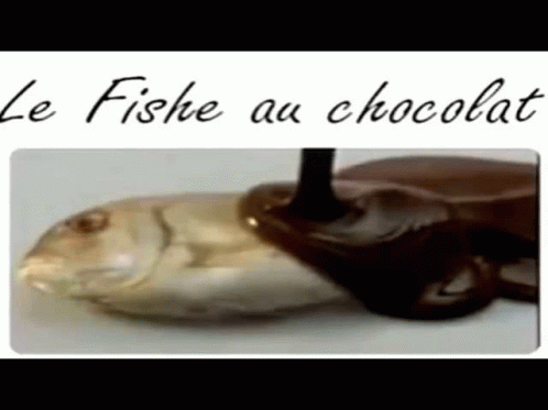 Le Fisch Chocola GIF - Le Fisch Chocola GIFs