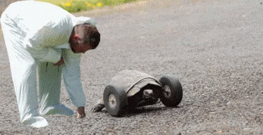 Turbo Turtle Slow And Steady GIF - Turbo Turtle Slow And Steady GIFs