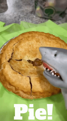 Shark Puppet Pie GIF - Shark Puppet Pie Apple Pie GIFs