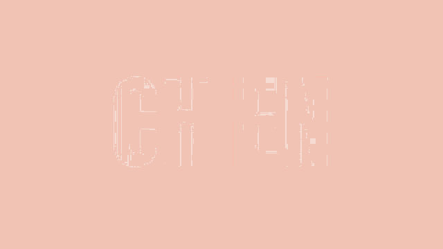 an orange background with the word chien in white