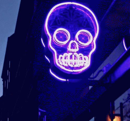 Skull Neon GIF - Skull Neon Light GIFs